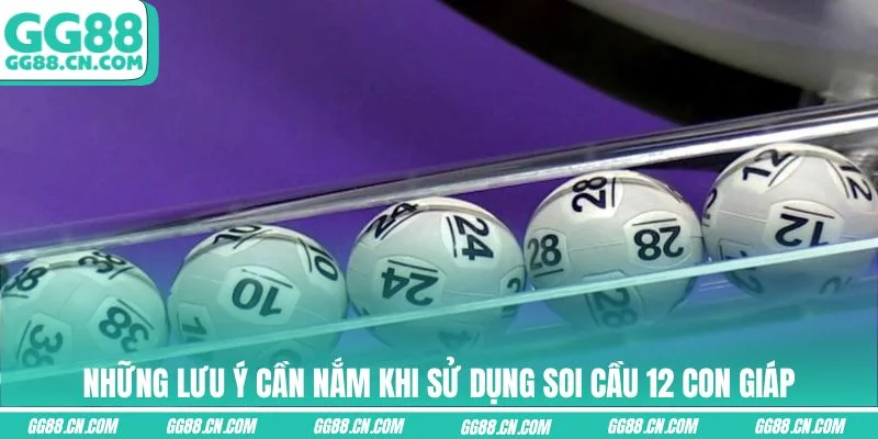 Những lưu ý cần nắm khi sử dụng soi cầu 12 con giáp Những lưu ý cần nắm khi sử dụng soi cầu 12 con giáp